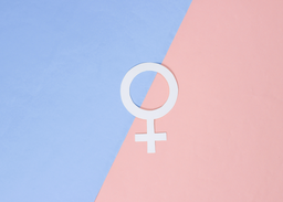 Women in Nonprofit for Gender Equity