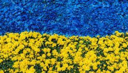 Global Humanitarian Founders (GHF)