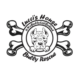 Luccis House Bully Rescue