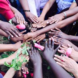 Immigrant and Refugee Resource Village of Albuquerque Inc.