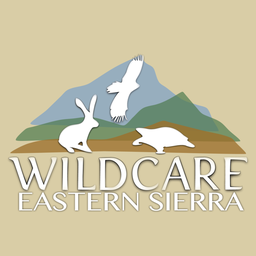 Eastern Sierra Wildlife Care
