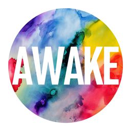Advocates for Womens and Kids Equality Awake Inc.