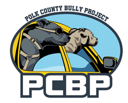 Polk County Bully Project