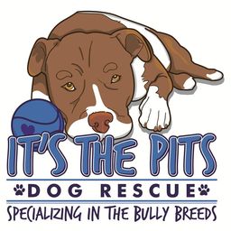Its the Pits