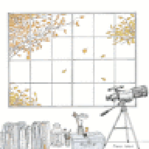 Alissandra Sementilli