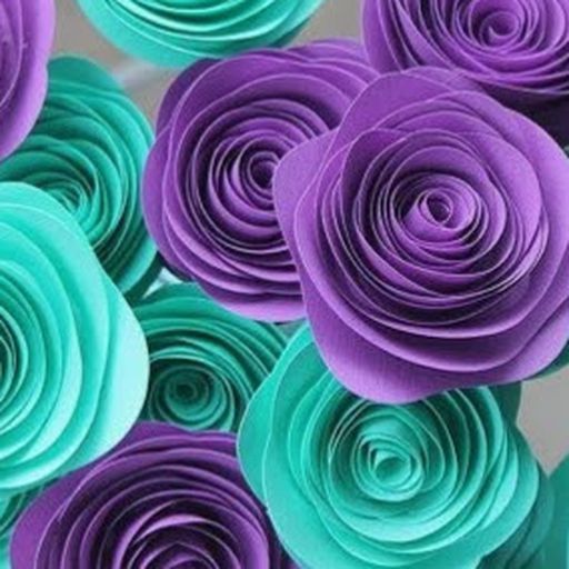 100 Women Who Care Placer