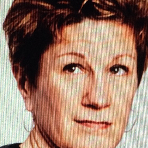 Lisa Kron