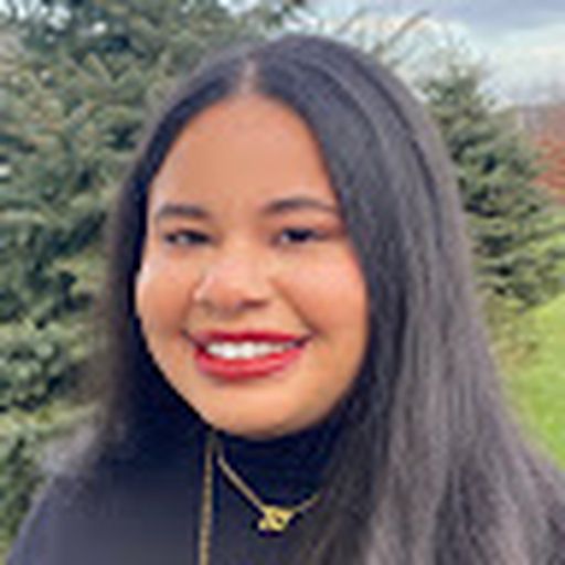 Denim (States Project)